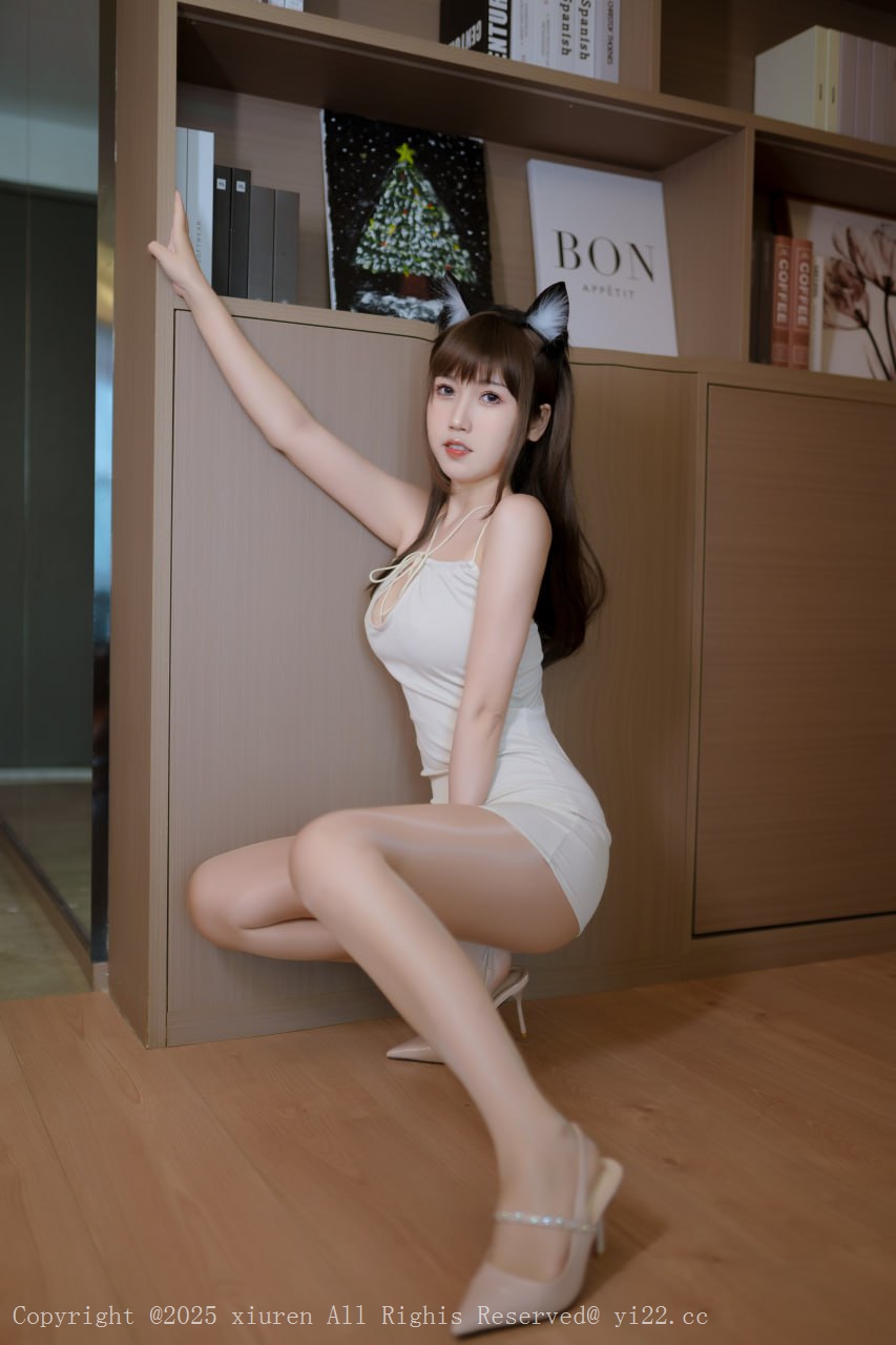 不呆猫