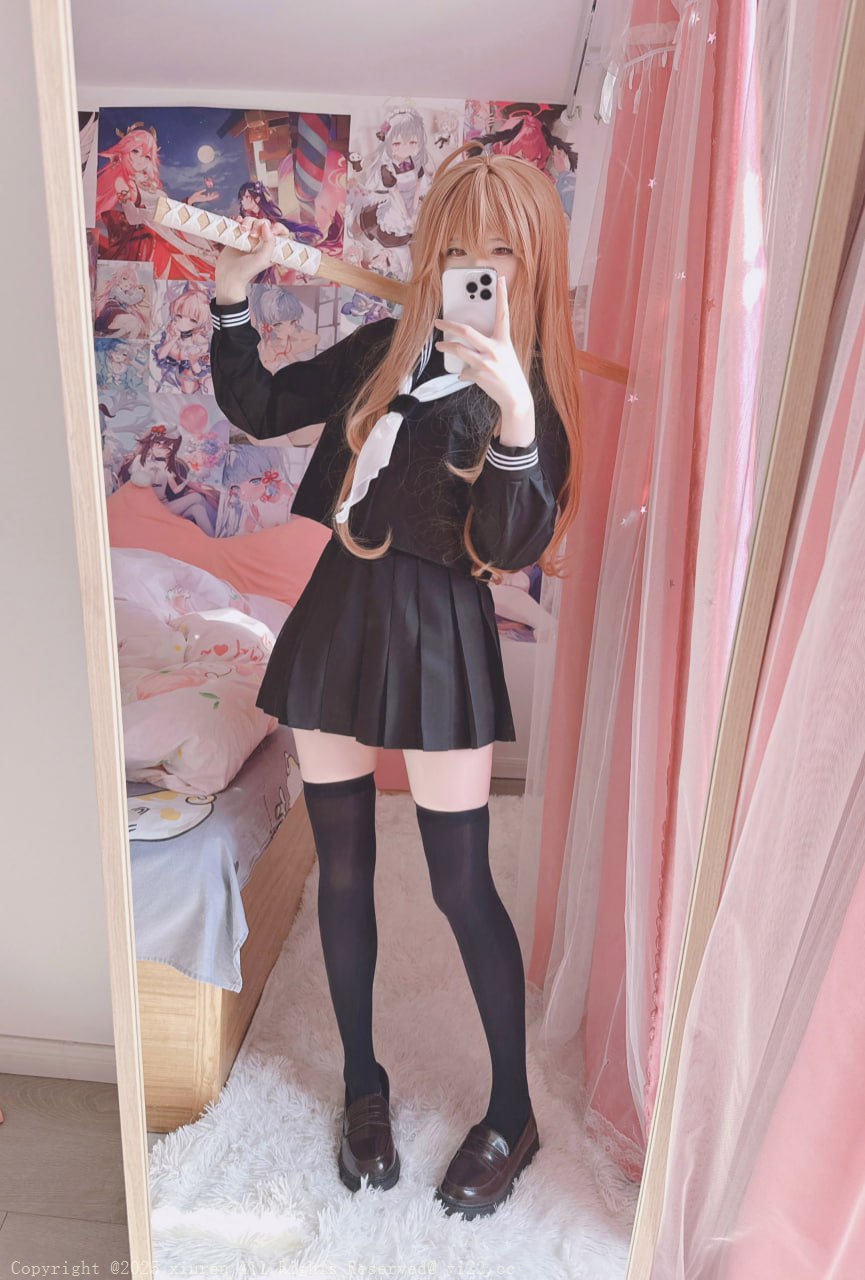 Xidaidai 习呆呆 - Taiga Aisaka